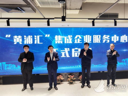 五大功能與八大機(jī)構(gòu)協(xié)同賦能，黃浦匯集成企業(yè)服務(wù)中心構(gòu)筑科技企業(yè)之家，深化信息技術(shù)咨詢服務(wù)